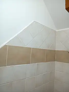 Snapshot of Romaeterna_ chatting on November 8, 8:29 pm Romaeterna online show from November 8, 8:29 pm