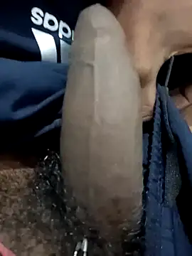 naveen 3222 online show from November 2, 1:35 pm