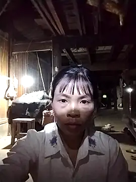 dinnavi online show from October 27, 8:02 pm