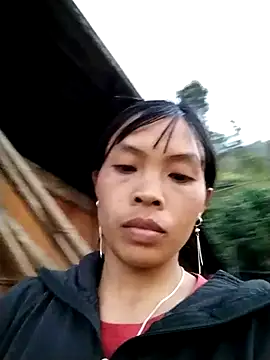 dinnavi online show from October 28, 10:41 am