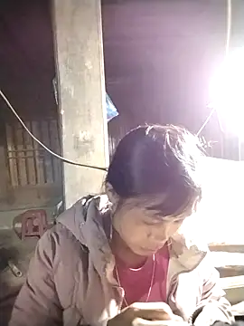 dinnavi online show from November 10, 12:59 pm