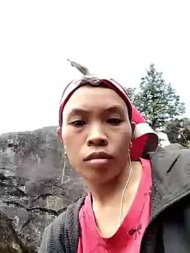 dinnavi online show from November 15, 4:43 am