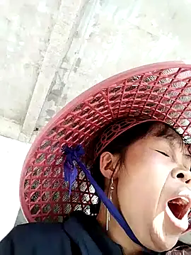 dinnavi online show from November 24, 2:44 am