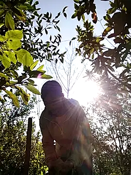 dinnavi online show from November 25, 1:49 am