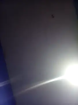 Snapshot of HSexy_Men00 chatting on November 26, 8:59 am HSexy Men00 online show from November 26, 8:59 am