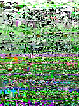 perfectguy4u online show from October 28, 8:55 pm