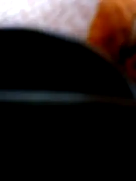 Snapshot of Pinos8700 chatting on November 1, 3:58 pm Pinos8700 online show from November 1, 3:58 pm