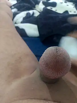 Ayoub ben27 online show from November 8, 3:45 pm