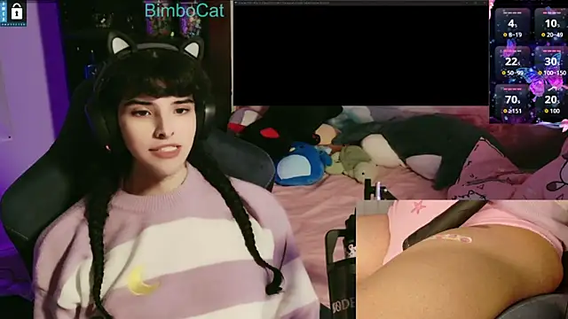 Snapshot of BimboCat chatting on November 29, 2:58 am BimboCat online show from November 29, 2:58 am