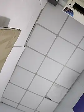 Liveryta online show from November 20, 12:38 pm