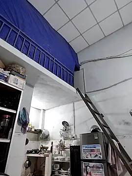 Liveryta online show from November 28, 11:57 am