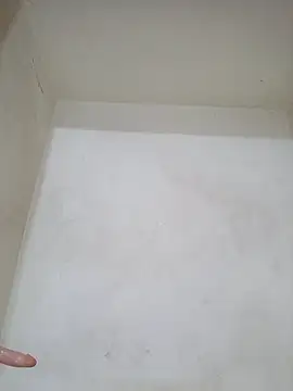 negramenta online show from December 1, 4:23 pm