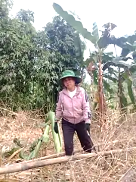 be-yeu online show from December 2, 1:44 am