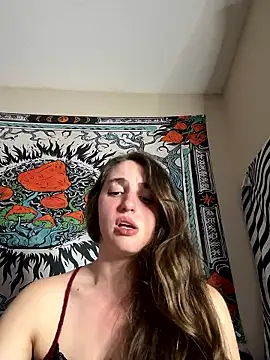 secretknight Mrmask online show from November 16, 7:19 pm