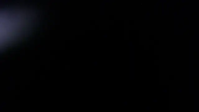 eden vice t online show from November 25, 7:47 pm