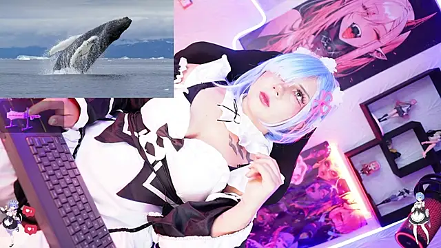 Noha-- online show from November 17, 12:55 pm