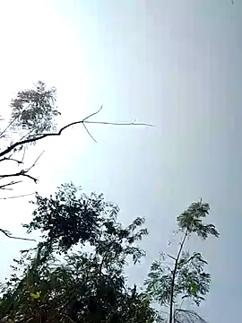 Anjali bady online show from November 22, 5:50 am