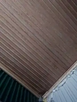 Yanren 22 online show from December 3, 1:24 am