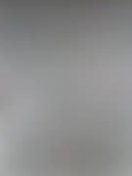 ZA202 online show from November 11, 12:05 pm