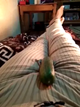 Tota sexi online show from November 28, 10:51 am