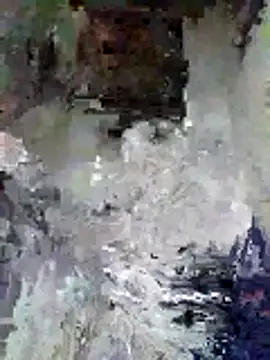 Snapshot of Junior_47 chatting on November 16, 8:31 am Junior 47 online show from November 16, 8:31 am