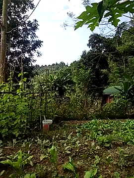 Rose-rose1234 online show from November 21, 8:02 am