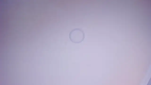 Charlotte Williams 1 online show from November 27, 12:51 pm