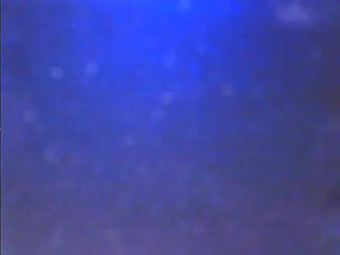 Sweet dove05 online show from November 26, 4:46 am