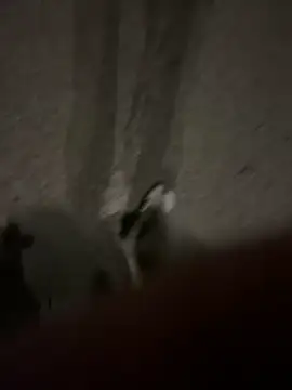 Pumxxxx online show from November 30, 4:16 am