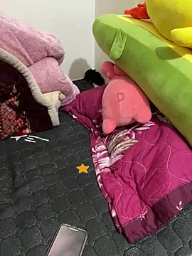 Snapshot of Hong8999 chatting on December 4, 8:34 am Hong8999 online show from December 4, 8:34 am