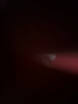 PartiedOmelet online show from November 24, 7:24 pm