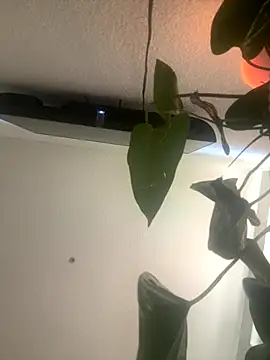 redheadangel 5 online show from November 29, 10:35 pm