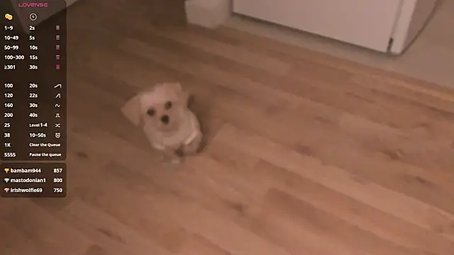 MePretty online show from March 23, 12:58 am