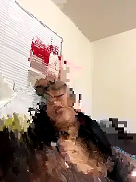 Snapshot of ZULTANHA chatting on December 18, 1:00 am ZULTANHA online show from December 18, 1:00 am