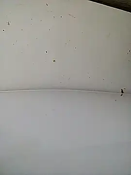 Julie9toma online show from December 21, 12:01 pm