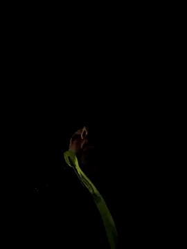 Snapshot of marcoboss chatting on December 13, 10:26 pm marcoboss online show from December 13, 10:26 pm