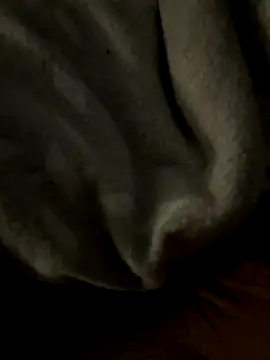 Snapshot of kb20sss chatting on December 14, 12:27 am kb20sss online show from December 14, 12:27 am