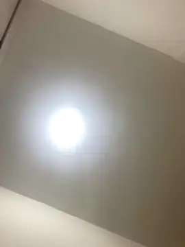 Snapshot of roger_rabiit chatting on December 19, 1:12 am roger rabiit online show from December 19, 1:12 am