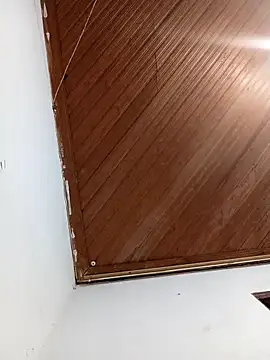 petersolito online show from December 18, 8:20 am