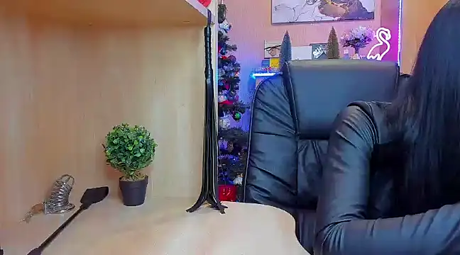 KristiTopxx online show from December 28, 9:51 pm