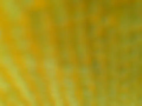 Snapshot of OGXXXOG chatting on March 16, 7:17 pm OGXXXOG online show from March 16, 7:17 pm