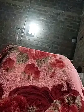 Bengali BULL1 online show from October 8, 4:15 pm