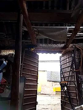 sarpe4 online show from October 4, 5:27 am