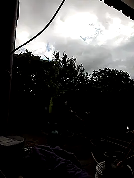 sarpe4 online show from October 12, 7:18 am