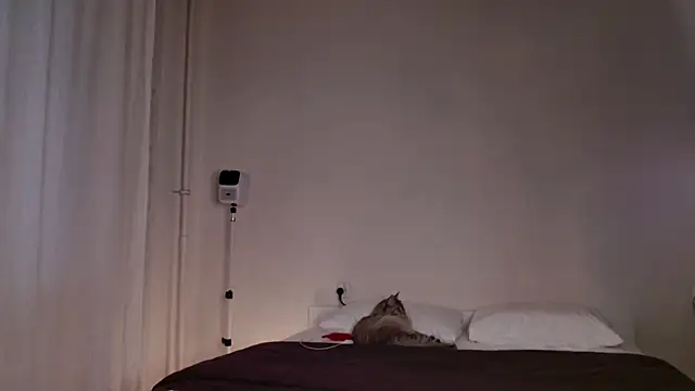 Milky   Way online show from October 5, 3:10 pm