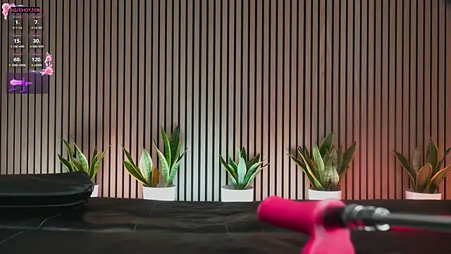 NiceHotJob online show from February 3, 7:00 pm