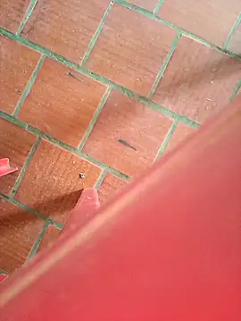 Brenda Berck  online show from September 12, 2:06 pm