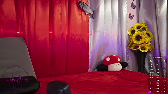 Rachellkors online show from February 17, 11:34 am