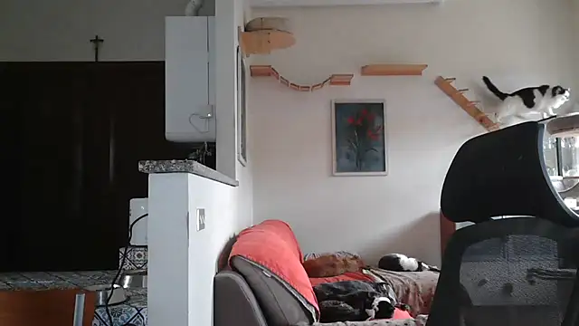 Snapshot of simona60 chatting on February 9, 2:07 pm simona60 online show from February 9, 2:07 pm