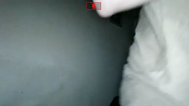 Ethangay online show from November 2, 6:27 am